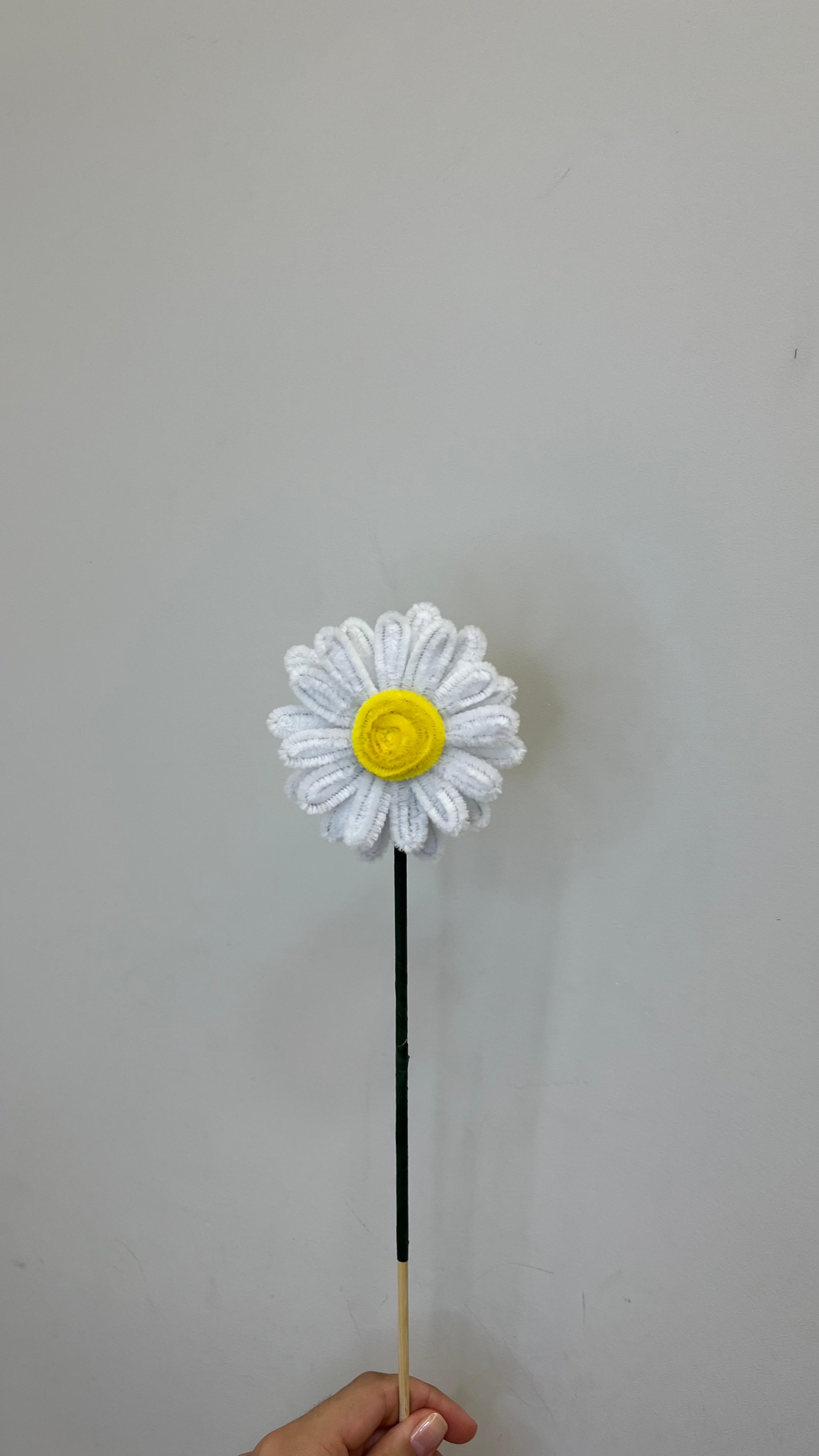 Margarida PipeFlorYou